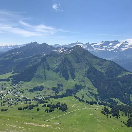 Les Myosotis Les Mosses