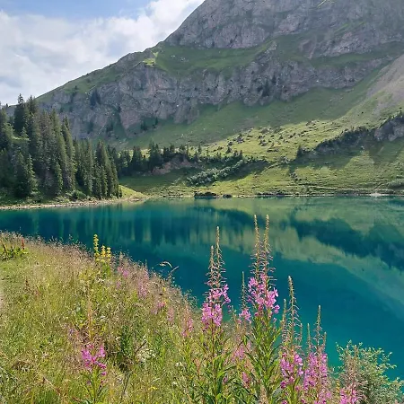 公寓 Les Myosotis *