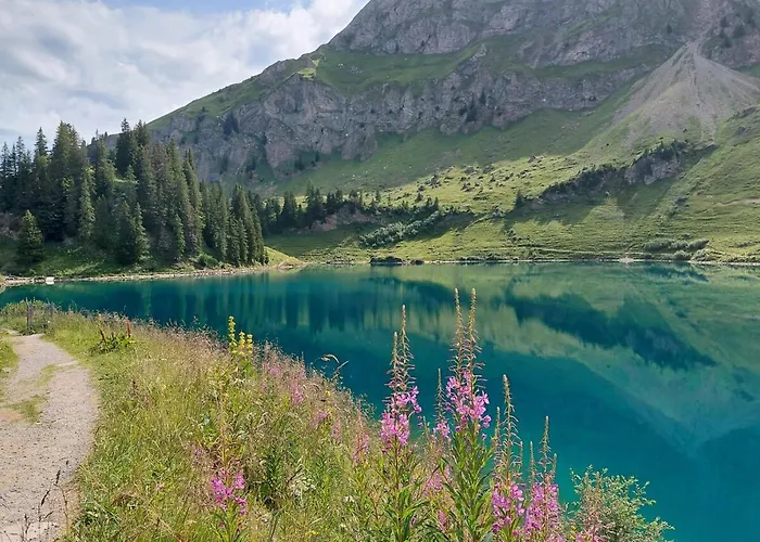 公寓 Les Myosotis *