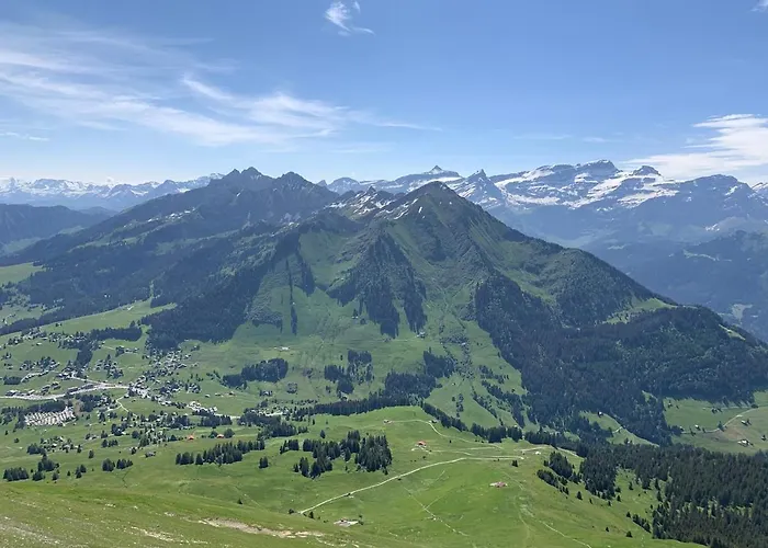 Les Myosotis Les Mosses