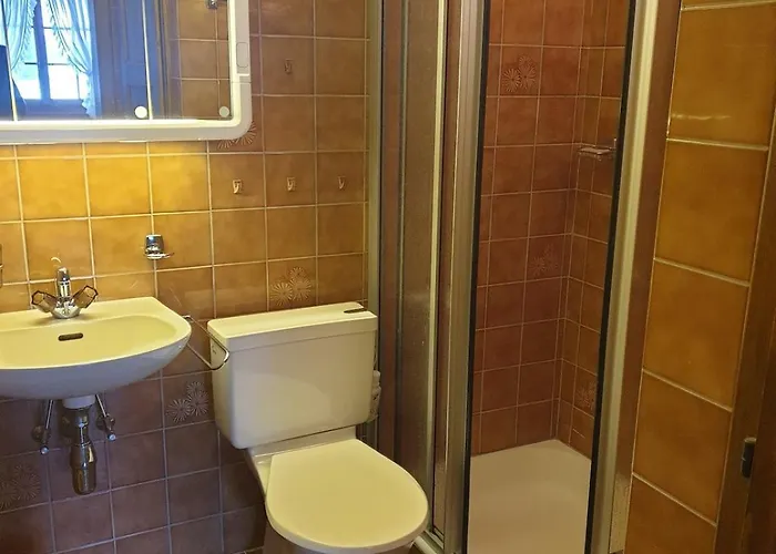 Les Myosotis Appartamento Les Mosses